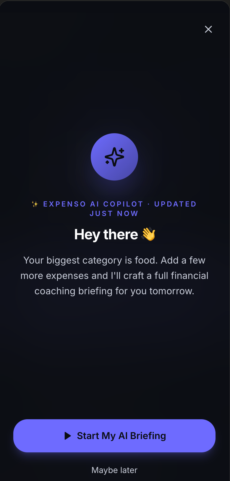 Expenso AI Copilot conversation with financial insights